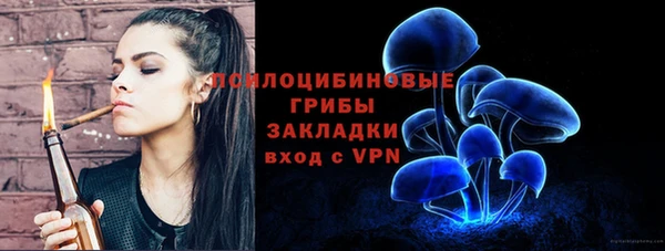 a pvp Алзамай