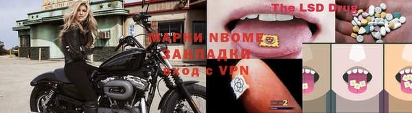 a pvp Алзамай