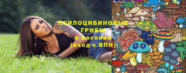 синтетический гашиш Алексин
