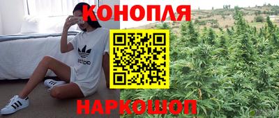 прущие грибы Татарск