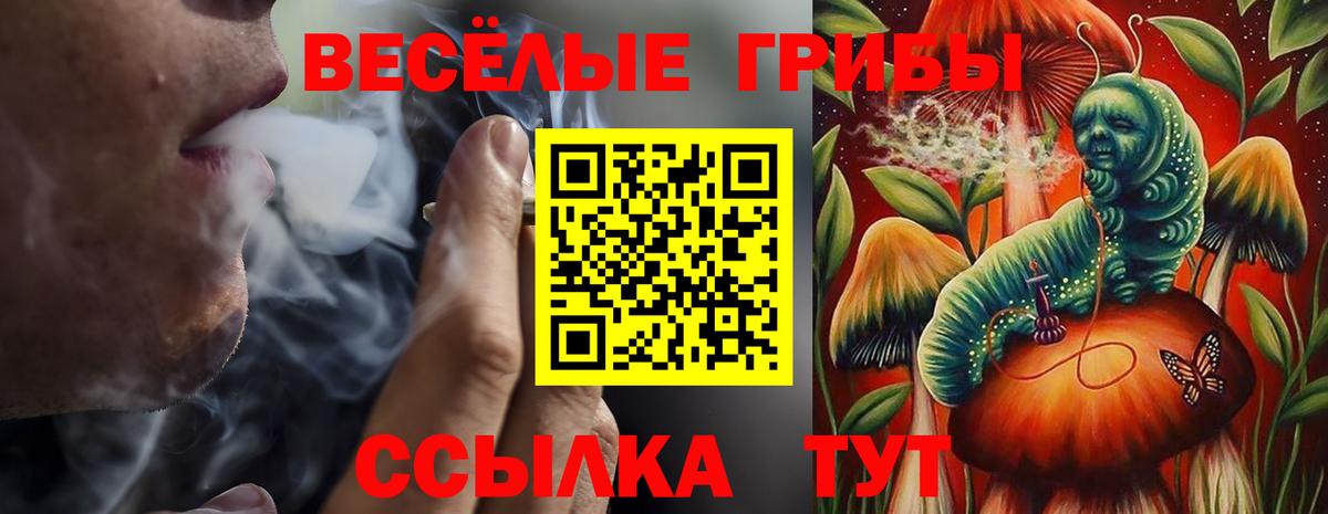 Псилоцибиновые грибы Psilocybine cubensis  Вход с VPN  купить  сайты  Похвистнево 
